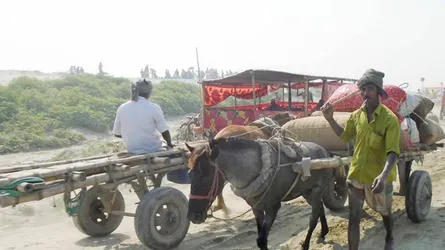 ঘোড়ার গাড়িতে বেঁচে থাকার লড়াই