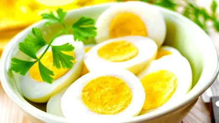 ডিম খাওয়া নিয়ে নতুন বিতর্ক