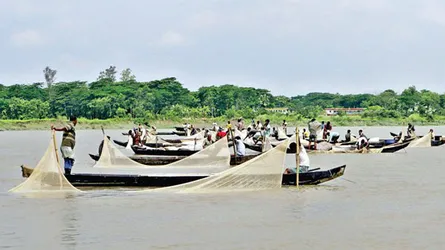 হালদায় মা রুই-কাতলার আনাগোনা, ডিম ছাড়ার পূর্বাভাস