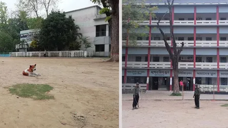 যশোরে ভোটের চিত্র