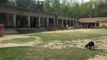 নৌকায় জাল ভোট দেয়ার সময় সহকারী প্রিজাইডিং কর্মকর্তাসহ আটক ২