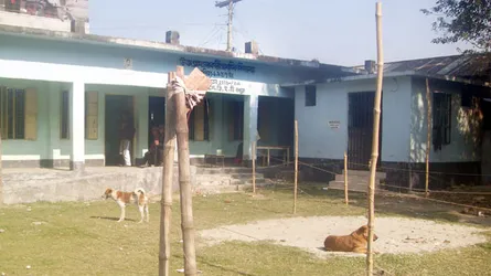 নির্বাচন ব্যবস্থা বিপর্যস্ত