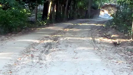 ৮শ’ মিটার রাস্তার ইট তুলে বিক্রি করে দিলেন আ’লীগ নেতা!