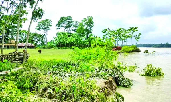 নলছিটিতে বিষখালির ভাঙনে হুমকির মুখে দু’টি বিদ্যালয়
