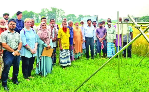 চালে আর্সেনিক কমানোর পদ্ধতি উদ্ভাবন