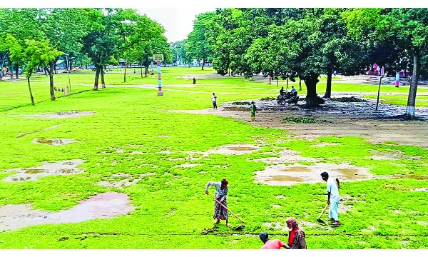 দেশের বড় ঈদজামাত  এবারো শোলাকিয়ায়, প্রস্তুতি সম্পন্ন