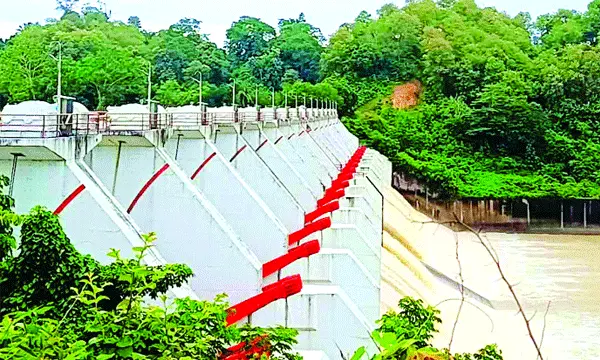 বিলুপ্তির পথে কৃষকের ‘বন্ধু’ বক পাখি