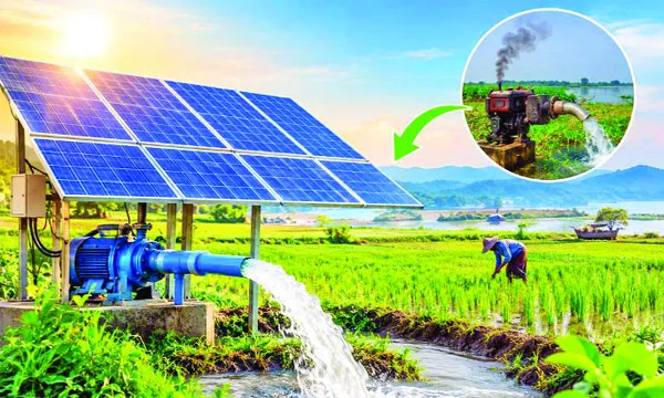 সিলেটে ৩ লাখ হেক্টর অনাবাদি জমি, চাষে আসছে ১৭ হাজার