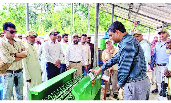 ডিজেলের বদলে সৌরশক্তি, কৃষিতে নতুন সম্ভাবনা দেখালো বাকৃবি