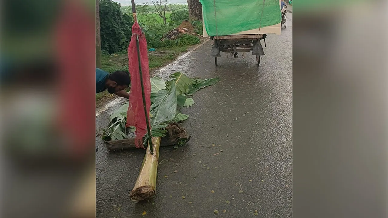 দর্শনায় বাসচাপায় ৪ বছরের শিশুর মৃত্যু