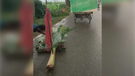 দর্শনায় বাসচাপায় ৪ বছরের শিশুর মৃত্যু