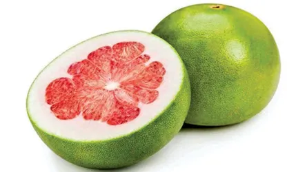 জাম্বুরা : প্রকৃতির ওষুধ