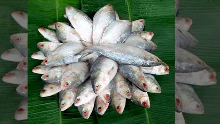 ইলিশের বাজারে পহেলা বৈশাখের উত্তাপ