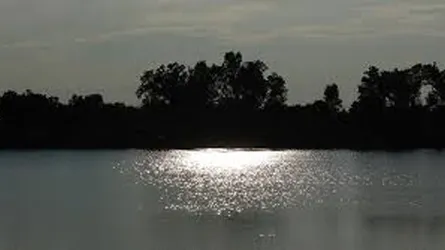 নীলসাগরে ৪ দিন পর ভেসে উঠলো লাশ