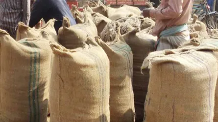 ‘ভুয়া কৃষক সেজে ধান কিনছে সরকারের লোকজন’