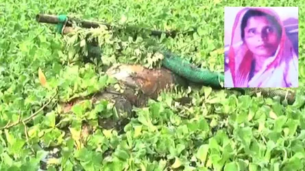 গাজীপুরে পুকুর থেকে হাত-পা বাঁধা নারীর লাশ উদ্ধার, পুত্রবধুসহ আটক ৩