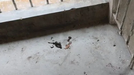 রাফির রক্তের দাগ, পোড়া কাপড় এখনো সিঁড়িতে