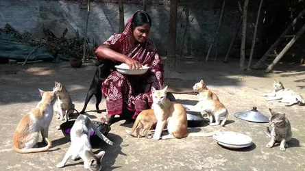 বিড়ালের মা কাউন্সিলর আলেপা খাতুন