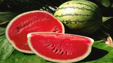 গরমে তরমুজ : আছে যেসব উপকার