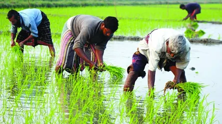 গ্রামীণ অর্থনীতিতে দুঃসময়