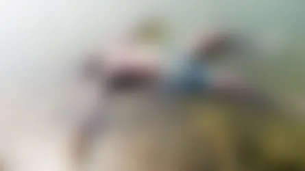 গড়াই নদীতে ভাসমান লাশ