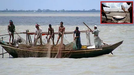 চাঁদপুরের পদ্মা-মেঘনায় আজ মাছ শিকারে নামছে জেলেরা