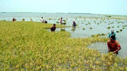 ‘ফনীর’ আঘাতে আকস্মিক বন্যার আশংকা