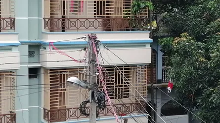 বাড়ির মালিকের পাতা ফাঁদে শিশুসহ নিহত ৩