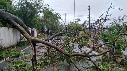 ফণীর মূল অংশ আসেনি এখনো