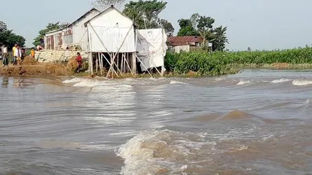 হাওরে বাঁধ ভেঙ্গে পানি প্রবেশ, তলিয়ে যাচ্ছে পাকা ধান