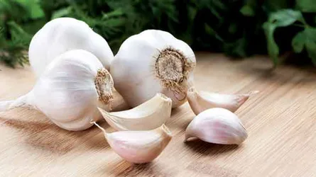 রসুনের চিকিৎসা ও গুণ