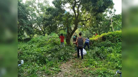 টেন্ডার দেয়া লিচু সাবাড় করল রাবি ছাত্রলীগ