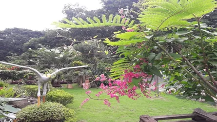 মিরপুর রোড ও গ্রীণ রোডের ‘অর্ঘ্য’ রক্ষায় ১৭ বিশিষ্ট নাগরিকের আবেদন