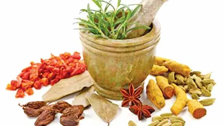 পাইলস রোগে ইউনানি চিকিৎসা