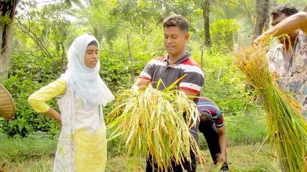 পুলিশের জমিতে চাষ করা ধান কাটলেন সেই পুলিশ সুপার