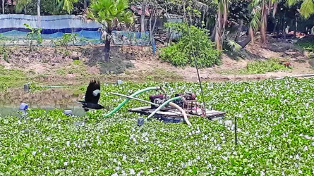 নাঙ্গলকোটে ডাকাতিয়া থেকে অবাধে বালু উত্তোলন হুমকির মুখে জনবসতি ও স্থাপনা