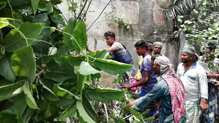 সোনারগাঁওয়ে মহাসড়কে ডাকাতি প্রতিরোধে জঙ্গল পরিষ্কার করলেন এসআই