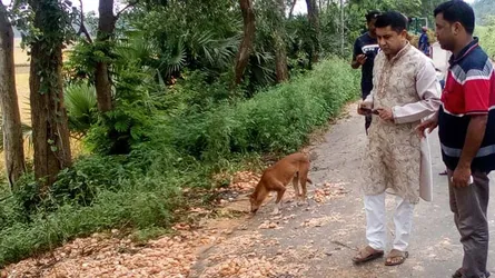 পুলিশকে টাকা না দেয়ায় ডিম ফেলে দেয়া স্থান পরিদর্শনে হাইওয়ে এসপি