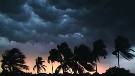 পোরশায় বজ্রপাতে দুই শ্রমিক নিহত আহত-১
