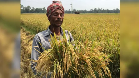 ‘ধান আবাদ কইরা আমি এহন পথের ফকির’