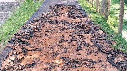 রাস্তা পাকা করার পরপরই উঠে গেলো পিচ!