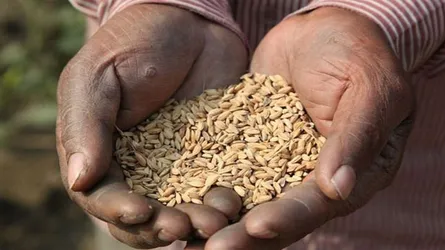 কৃষকদের এবার কিছুটা ক্ষতি হবেই : কৃষিমন্ত্রী