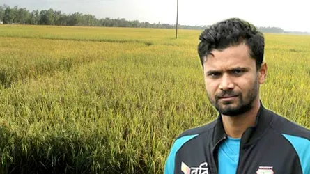 নড়াইলে সরাসরি কৃষকের কাছ থেকে ধান কিনবেন মাশরাফি
