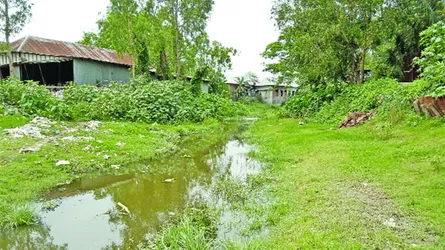দখল-দূষণে বিলুপ্তির পথে  রজতরেখা নদী