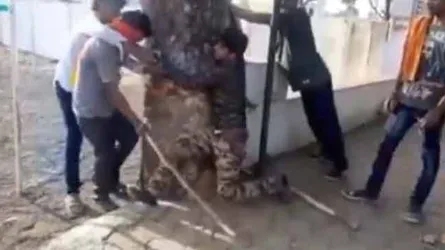 গরুর গোশত রাখার অভিযোগে মুসলিমদের বেধড়ক মার