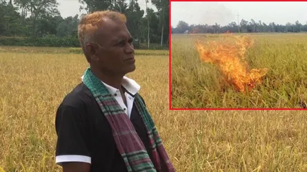 কোন দেশের কৃষকদের বাঁচাতে চান