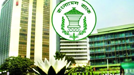সুযোগসন্ধানীদের দৌরাত্ম্য