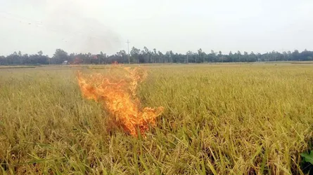 ‘চাষা’ অপবাদ ঘোচাতে কর্মসূচি!