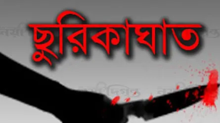 প্রতিবেশির ছুরিকাঘাতে কলেজ ছাত্র নিহত