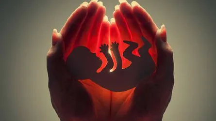গর্ভপাত ঘটাতে ইউএনওর চাপ